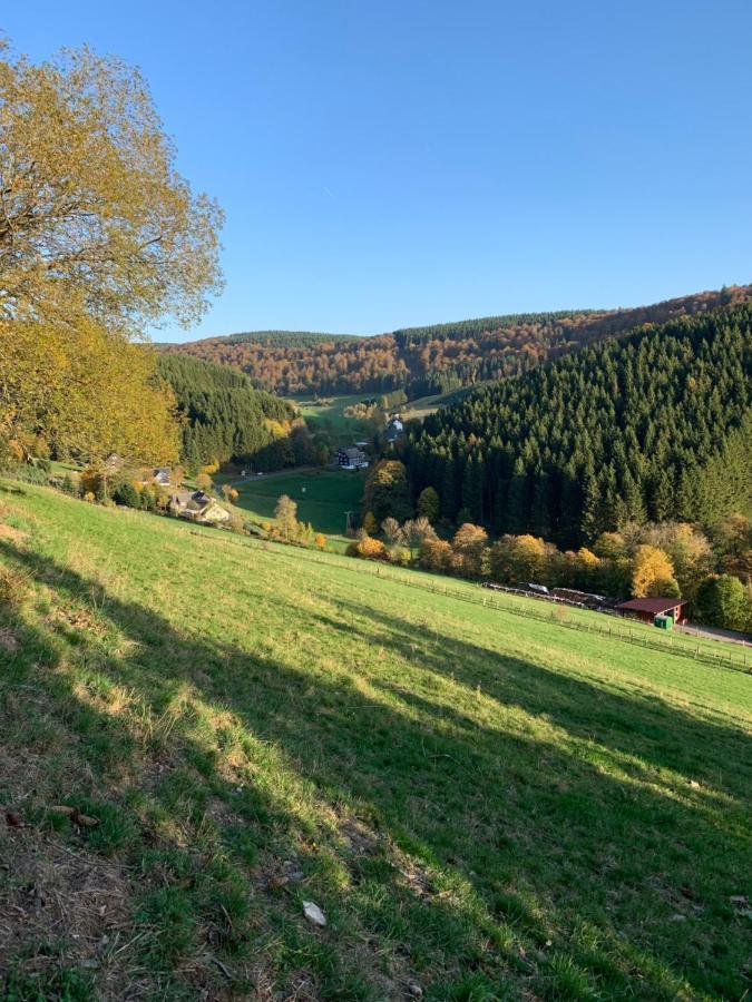 Ferienwohnung Duennebacke Schmallenberg Dış mekan fotoğraf